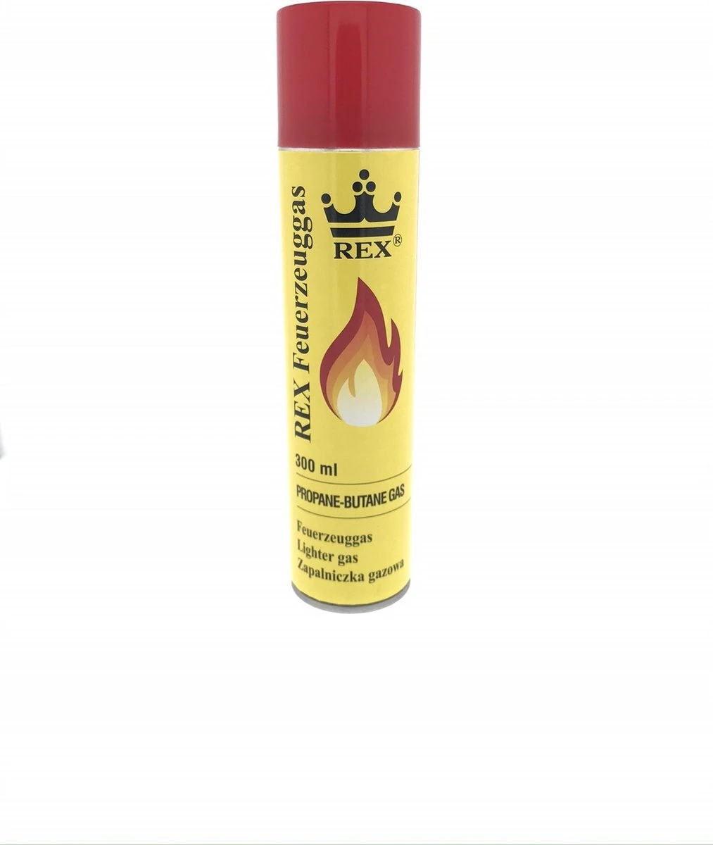 Hofftech Universeel Aanstekergas Propaan - Butaan Gas - 300 Ml 1 Hofftech Universeel Aanstekergas Propaan - Butaan Gas - 300 Ml