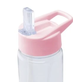 Waterfles Met Rietje En Fruit Filter | Roze | Kerstcadeau -Barbecues Verkoopwinkel 1057x1200