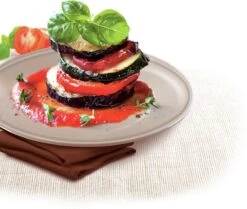 Tefal Success Ovenware Ovenschotel - 20 X 26 Cm -Barbecues Verkoopwinkel 1200x1014 2