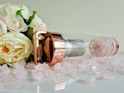 Duurzame Waterfles Met Kristal - Roségoud - Roestvrij Staal - Rozenkwarts Edelstenen - Verrijkt En Verzacht Water - Inclusief Thee/fruit Infuser - Edelstenen - 550 Ml - Waterfles - Drinkfles -Barbecues Verkoopwinkel 1200x900 61