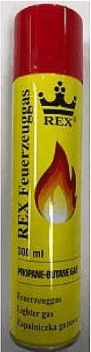 Hofftech Universeel Aanstekergas Propaan - Butaan Gas - 300 Ml 11 Hofftech Universeel Aanstekergas Propaan - Butaan Gas - 300 Ml - Afbeelding 11