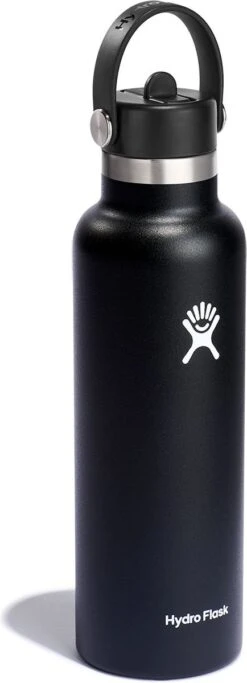 Hydro Flask Standard Mouth Flex Straw Cap Drinkfles (621 Ml) - Black -Barbecues Verkoopwinkel 434x1200 3